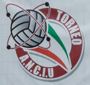 logo volley 2015
